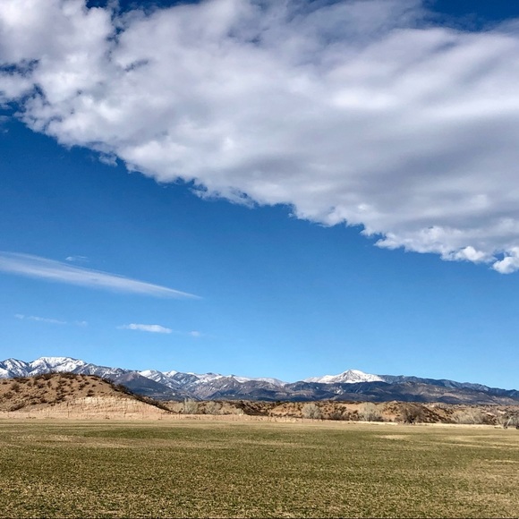 Meet your Posher, Nicole - Picture 1 of 1